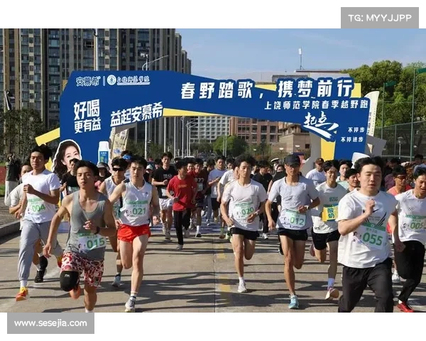越野跑赛事水平 越野跑赛事水平现状评估与未来提升策略深度探究